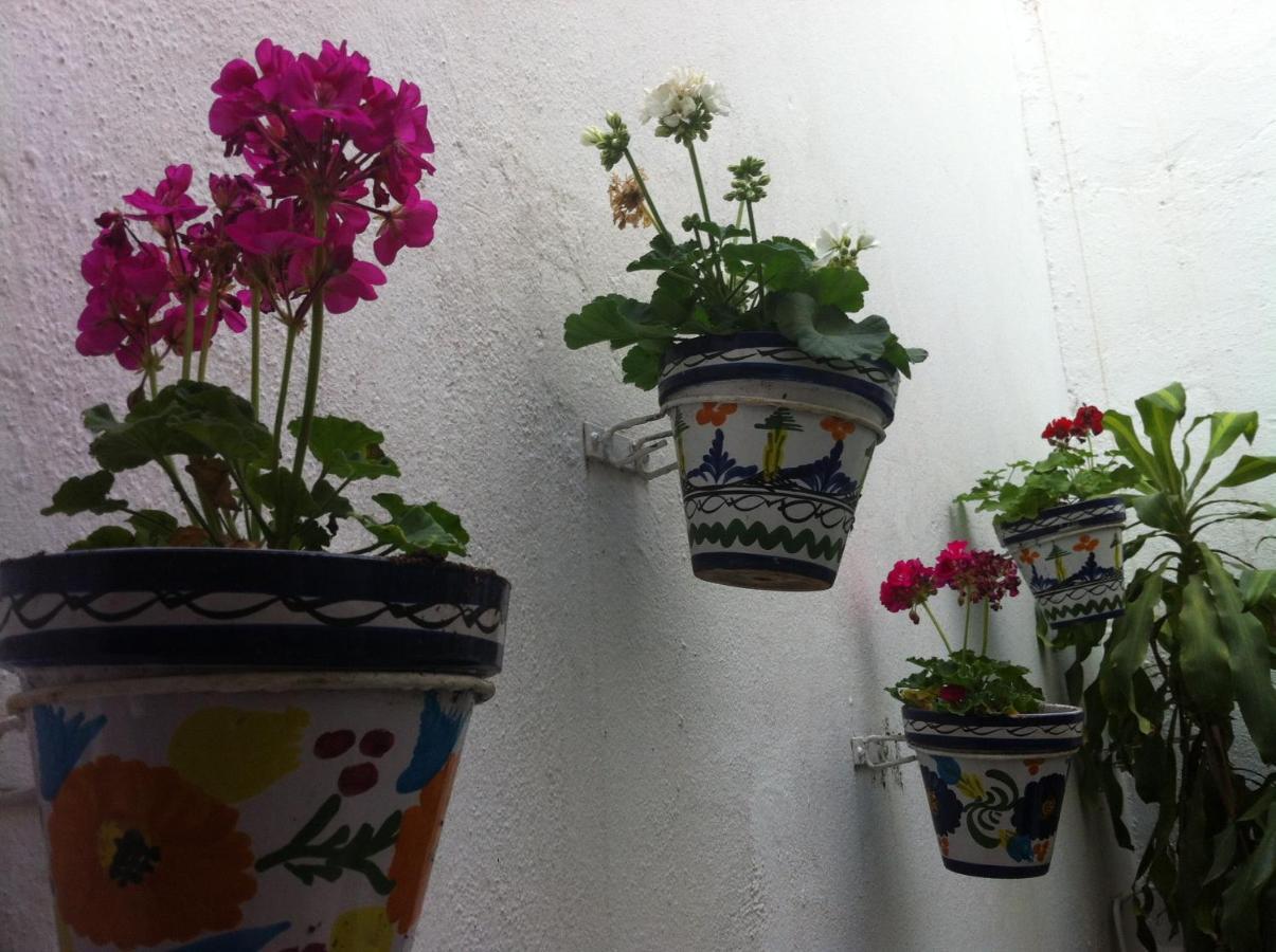 Hostal Berlin Marbella Zewnętrze zdjęcie
